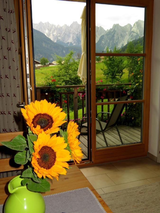 Appartements Gosaukamm.Com Εξωτερικό φωτογραφία