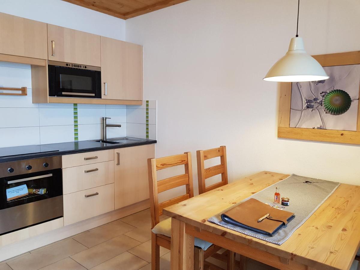 Appartements Gosaukamm.Com Εξωτερικό φωτογραφία
