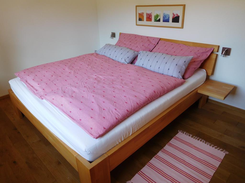 Appartements Gosaukamm.Com Εξωτερικό φωτογραφία