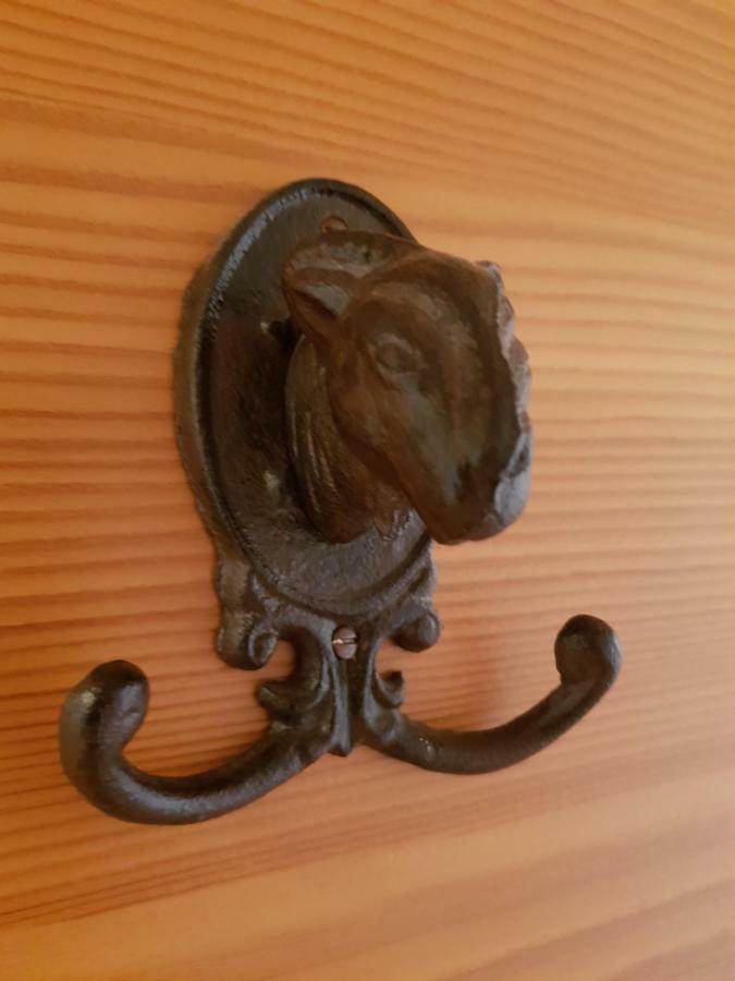 Appartements Gosaukamm.Com Εξωτερικό φωτογραφία