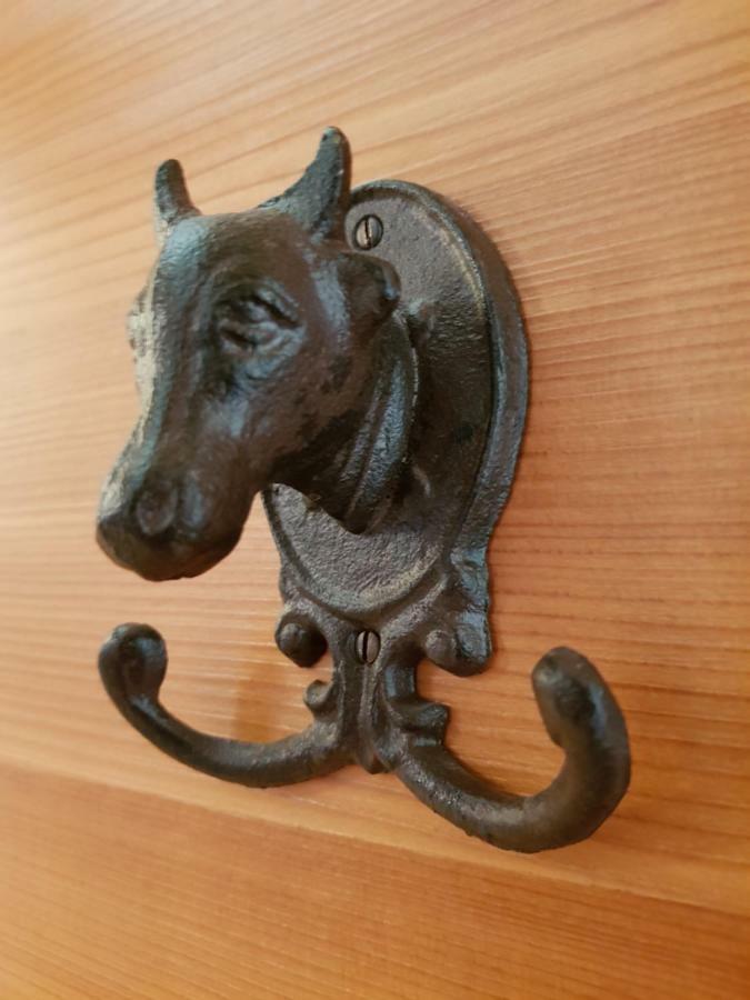 Appartements Gosaukamm.Com Εξωτερικό φωτογραφία